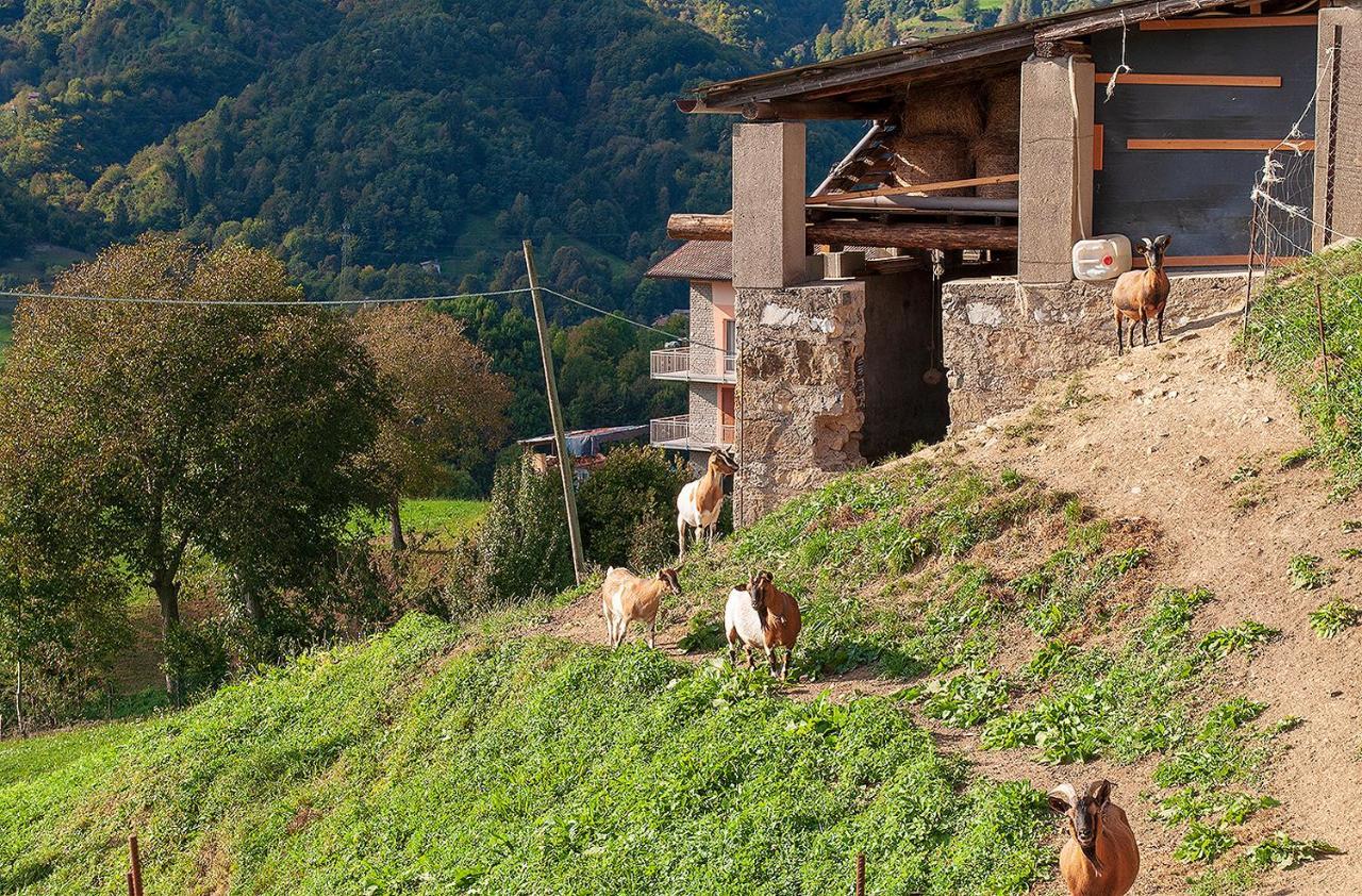 Bed &Breakfast Bellavista Bed & Breakfast San Giovanni Bianco Exterior photo